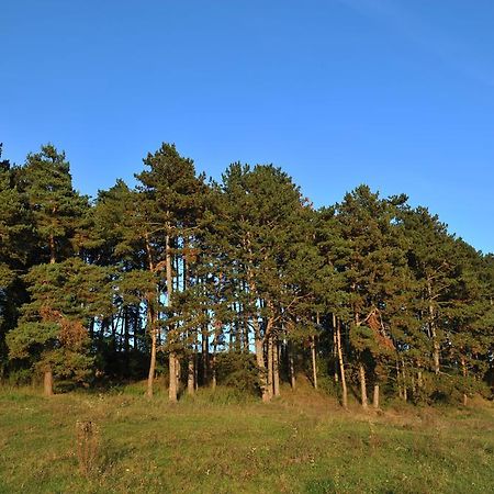 Отель Rasarit De Soare Rotbav Экстерьер фото